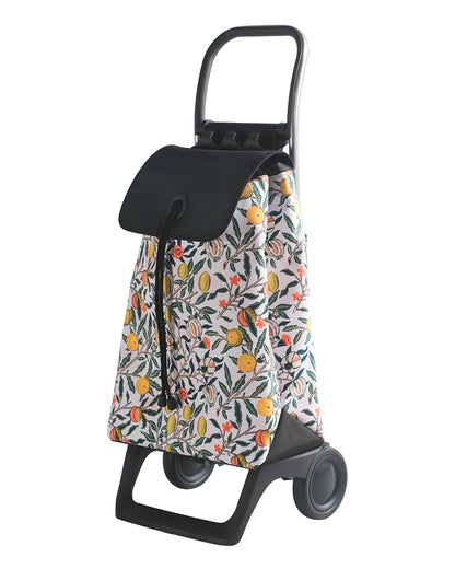 PATRON MORRIS Pomegranate