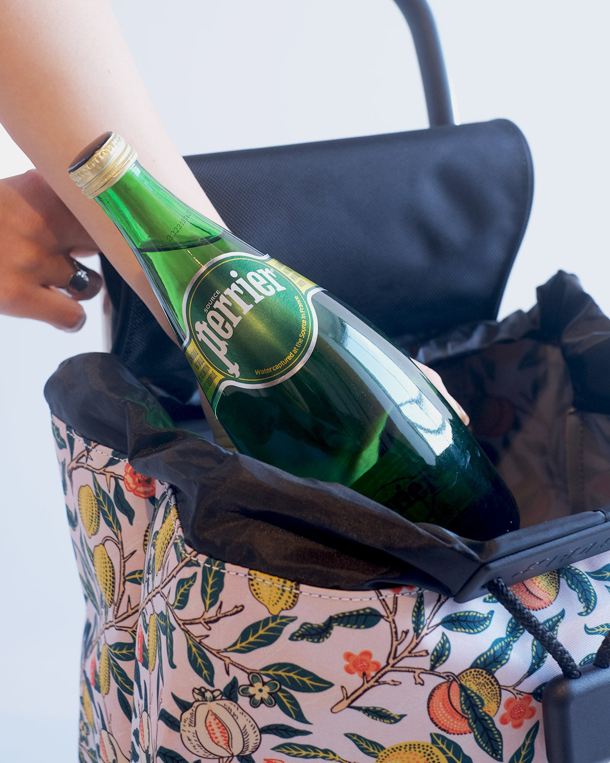 PATRON MORRIS Pomegranate