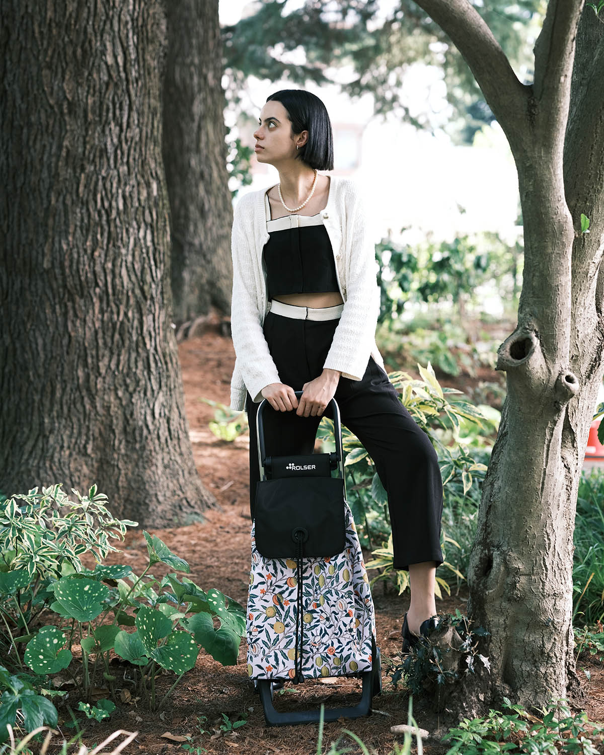 PATRON MORRIS Pomegranate